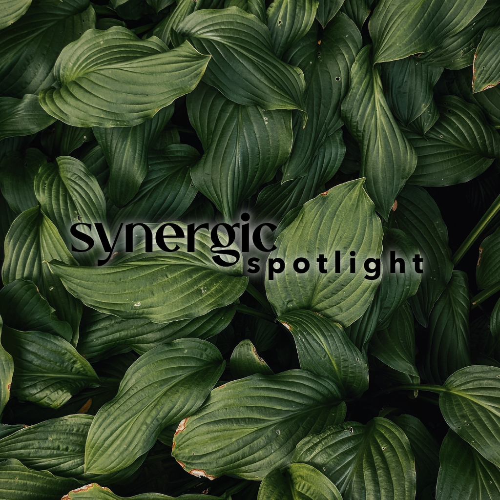 Synergic Spotlight: Better Health with Beth