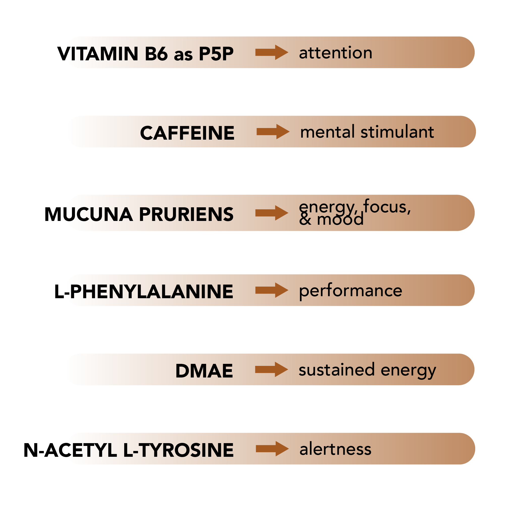 List of balancer/supplement ingredients and how they improve your mental and physical status. Vitamin B6 as P5P improves attention, Caffeine is a mental stimulant, Mucuna Pruriens improves energy, focus, and mood, Phenylalanine improves mental and physical performance, DMAE creates sustained energy, Acetyl L-Tyrosine improves alertness.