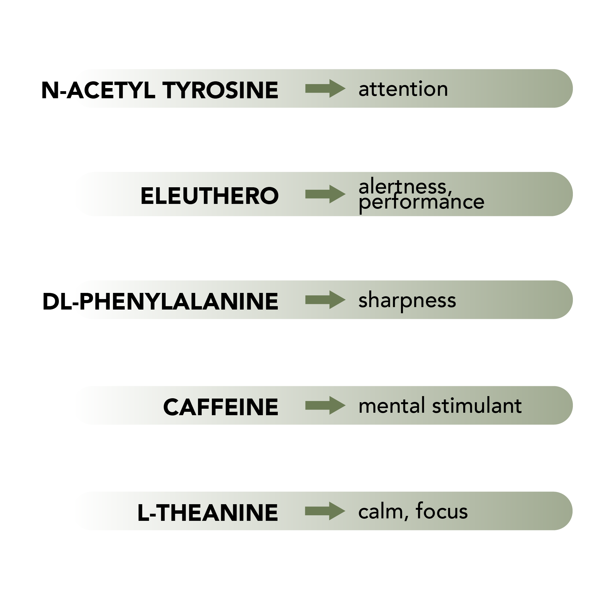 List of balancer/supplement ingredients and how they improve your mental and physical status. N-Acetyl Tyrosine improves attention, Caffeine is a mental stimulant, Siberian Ginseng improves alertness and performance, DL-Phenylalanine improves mental sharpness, L-Theanine creates calm and focus.